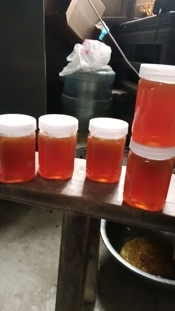 通江县百花蜂蜜