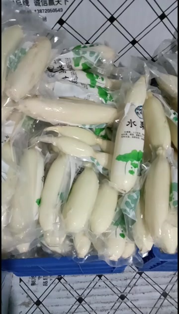 水果藕大量供应生吃脆甜入口无渣当天采摘发货