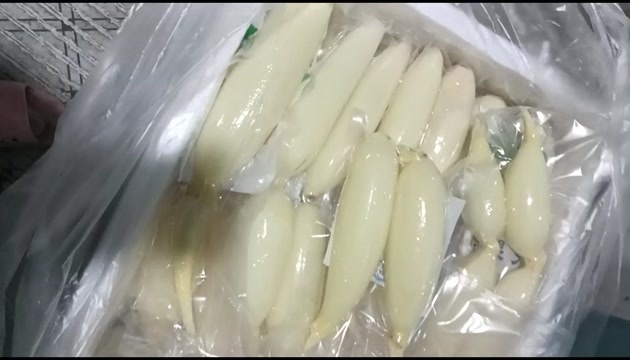 水果藕大量供应生吃脆甜入口无渣当天采摘发货