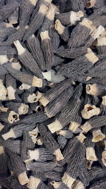 成都头茬厚肉，精选6-8公分羊肚菌产地直发