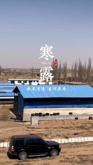 宁夏盐池滩羊