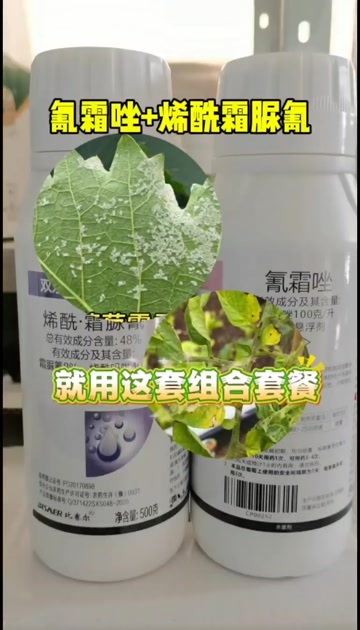 10%氰霜唑48%烯酰吗啉霜脲氰组合套餐果树蔬菜霜霉疫病农药