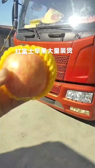 沂水县红富士