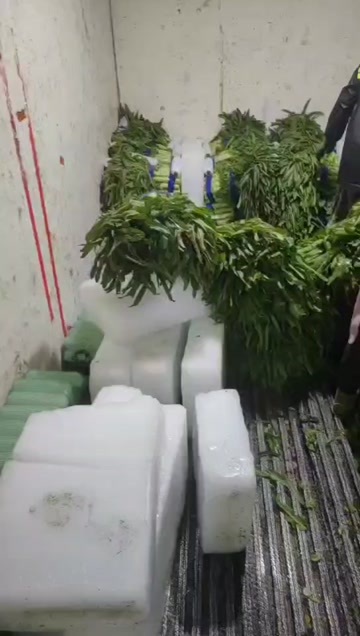 郯城县精品莴笋