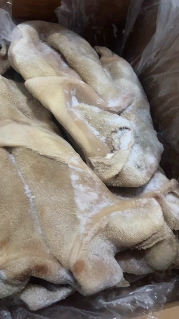 阳信县纯干熟牛肚，熟度高，里子干净，无碱发，无冰，出成高。