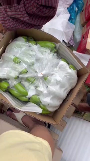 金平县云南精品巴西蕉，原产地直发，整车发货，10000斤起。