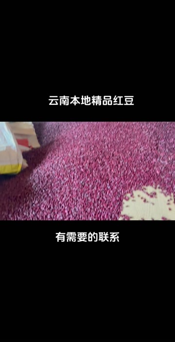 曲靖云南本地精品红豆 煮出来汤都像朱砂一样红.有需要联系我