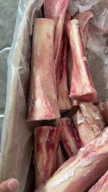 锡林浩特牛骨髓骨