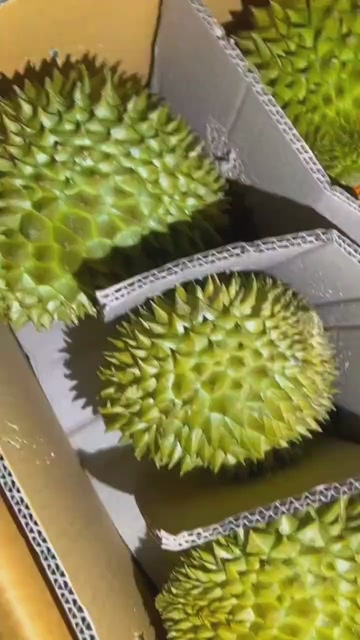 泰国金枕榴莲一件代发产地直发一手货源对接各大电商平台