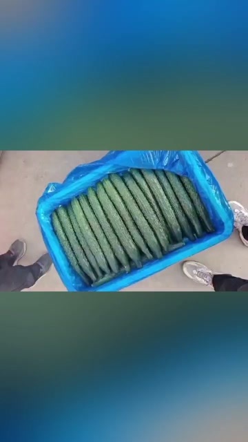 邯郸黄瓜