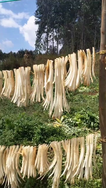 陆良县露天萝卜