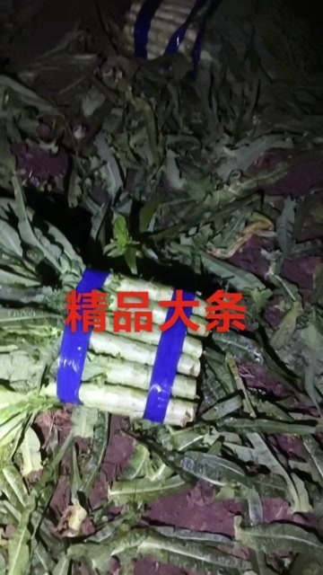 常州莴笋