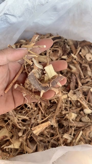 贺州五指毛桃，统货砍节，足干，无硫