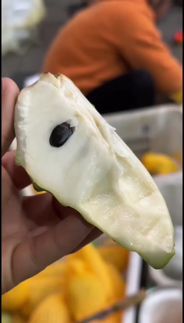 一件代发货/批发礼盒云南牛奶凤梨释迦果精选老树果口感绵密香甜