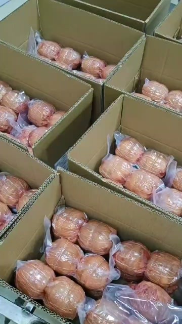 成都东坡肘子 大量现货 厂家一手货源批发