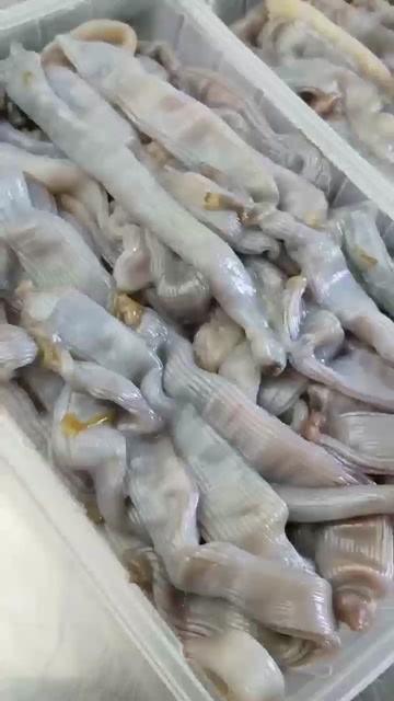 东港市沙虫冻肉  大黑虫 活虫做的 懂货老板来