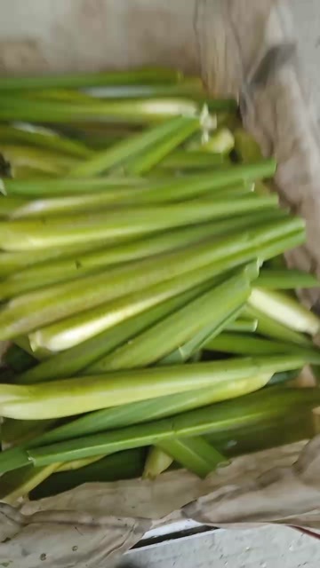 铜陵茭白