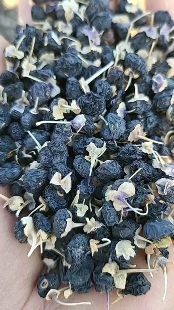 玉门市精品白白子黑枸杞 大果