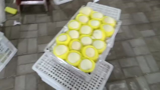 阜南县富硒冬桃（红心白肉毛桃丑桃）脆甜可口甜度高