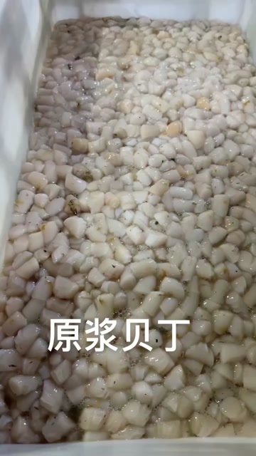 威海现廓原浆贝丁