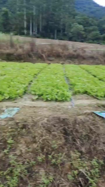 闽侯县快白