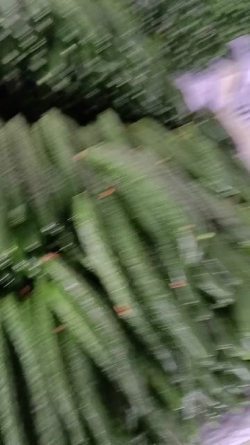 保山云南保山直发