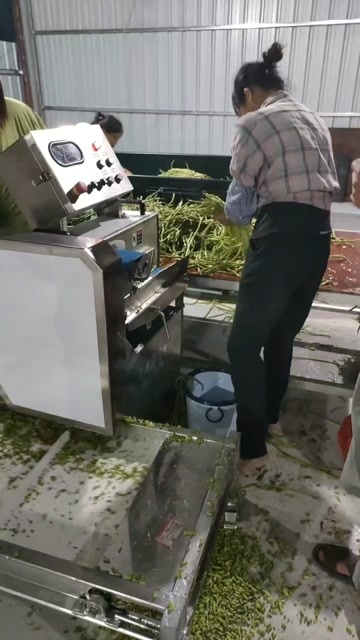 北海切腌酸豆角