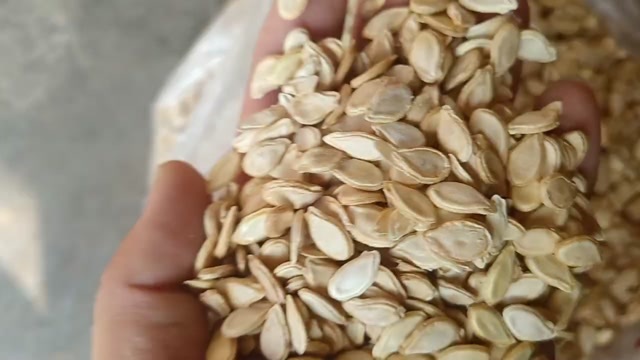 邻水县冬瓜子