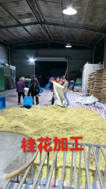 歙县徽州无硫桂花干批发 扶农产品 品质保障