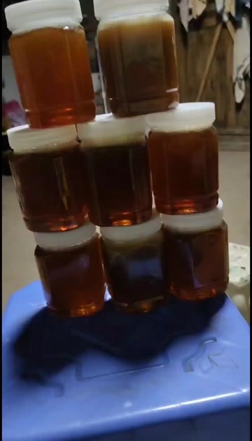 绍兴土蜂蜜
