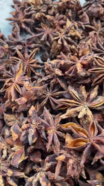 容县特大个头人工去把过筛装箱包邮的大红八角，质量如视频所见，