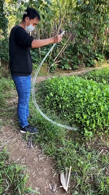 拱棚支架玻璃纤维
