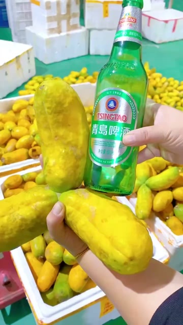永嘉县九月黄