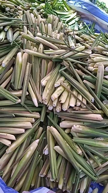 衢州茭白精品电商量大！现割现发货，保证新鲜度