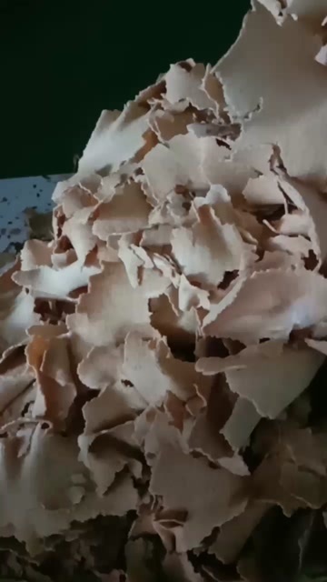 呼和浩特豆粕，蛋白三十八