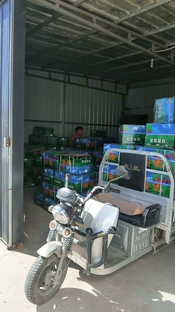 阿克苏市宁夏枸杞