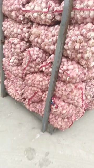 中牟县中牟紫皮大蒜