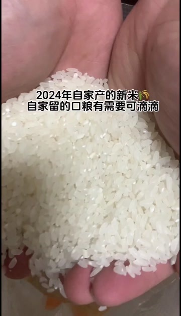 宝清县东北黑土地上小圆粒水稻-北大荒