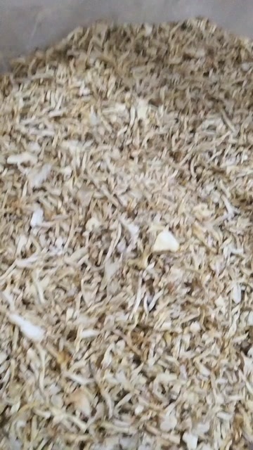 金堂县干平菇脚丝片大量有货