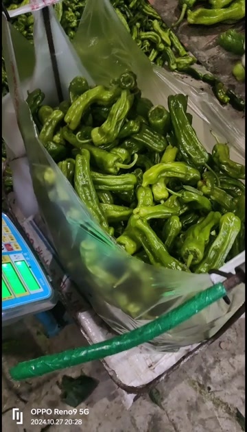 薄皮青椒
