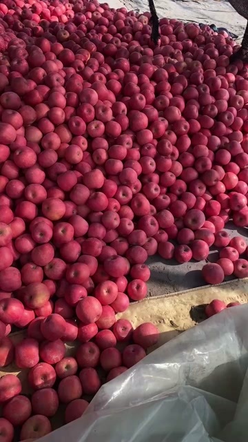 营口富士， 表光好 色好。口感好