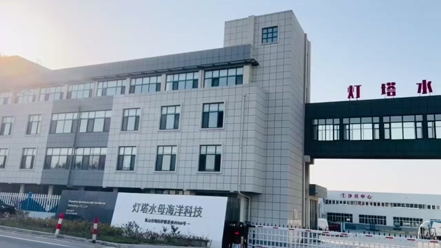 乳山市乳山生蚝，全规格。鲜活，半壳，肉全都有