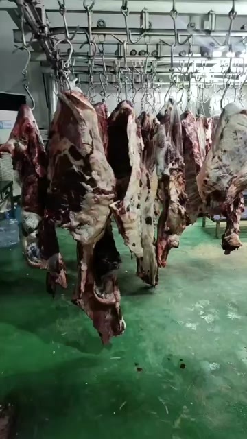 阳信县正规屠宰工厂 当天现宰国产大公牛 稳定供应