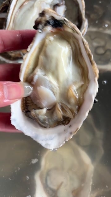玉林乳山生蚝