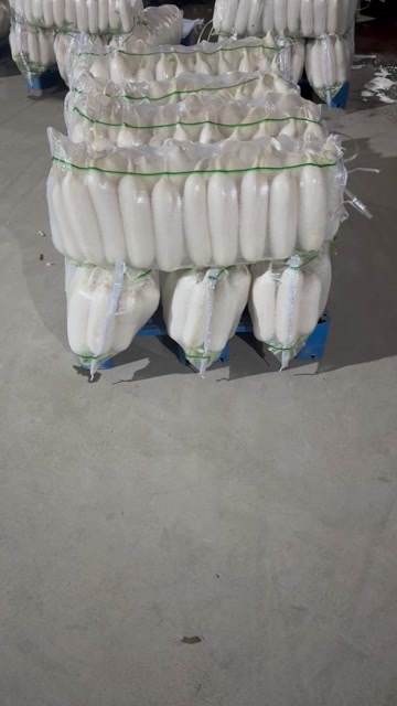 天门市白萝卜
