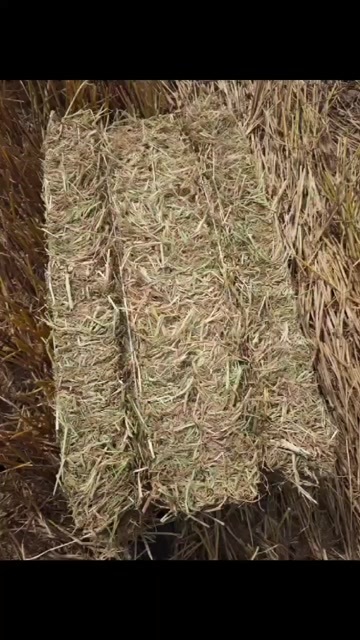 武汉湖北武汉 新洲区 适用于鸭鹅牛羊马鹌鹑的多用途饲料稻草