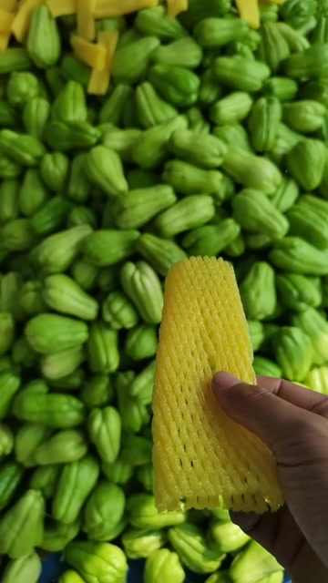 新鲜佛手瓜 陕西省西安市周至县直发