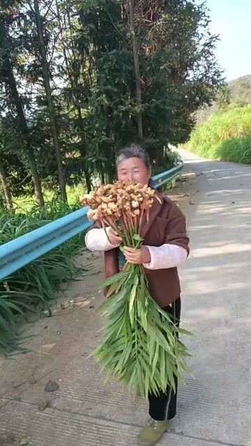 兴义市产地一手货源