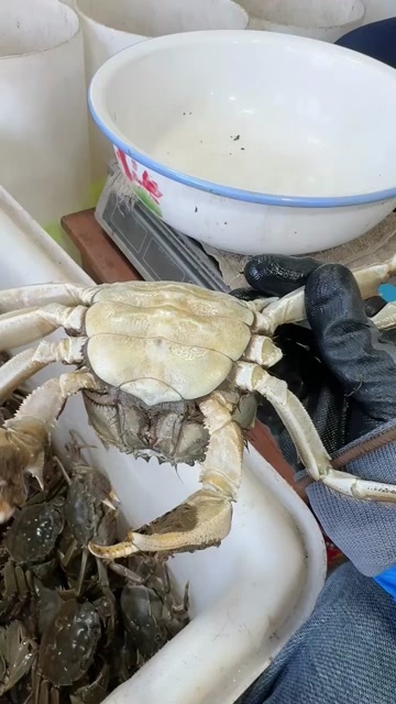 淮安大闸蟹