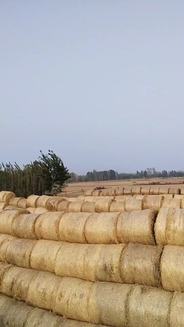 沛县秸秆饲料